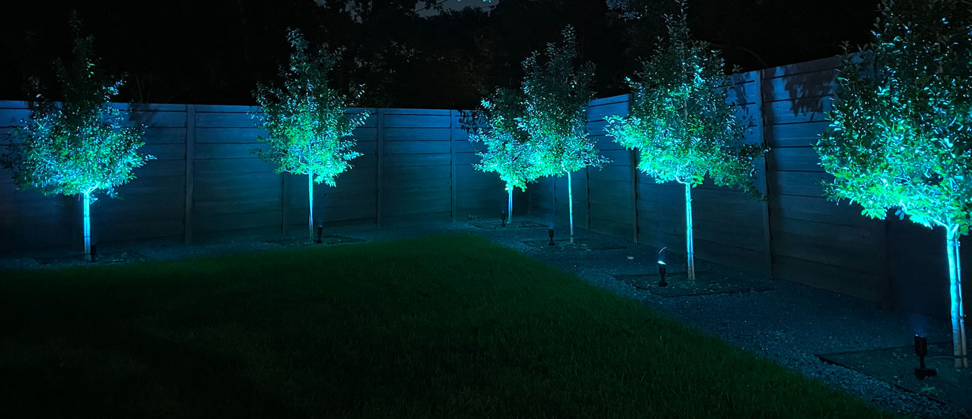 Color changing lighting on backyard trees